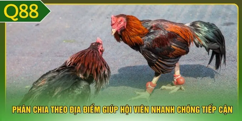 Phân chia theo địa điểm giúp hội viên nhanh chóng tiếp cận