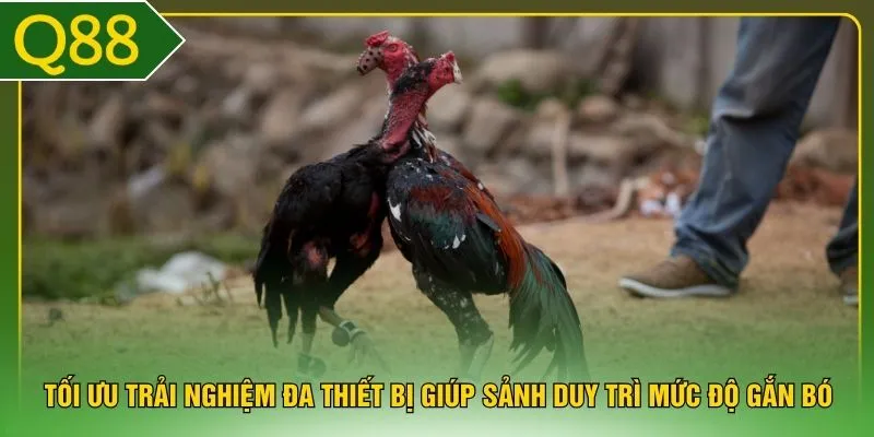 Tối ưu trải nghiệm đa thiết bị giúp sảnh duy trì mức độ gắn bó 